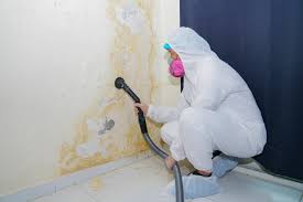 Forensic Mold Investigation